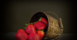 В сезон 2018 продавам на едро количества промишлени ягоди