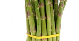 Spárga eladni a 2020-as nagykereskedelmi szezonban.