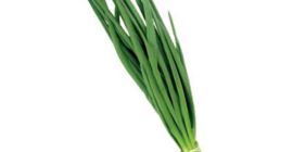 Ceapă și arpagic. Gata gătită. Căutați producători pentru cooperare