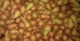 I will sell 30 tons of pears. Conference