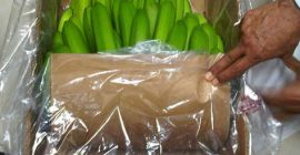 We are shipping all over the Europen Union.Contact us