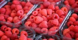 vegye fel a kapcsolatot a whatsapp vagy mobiltelefon 00393496208072