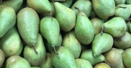 Xenia pears
