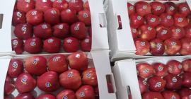 Ние сме продавач на плодове в Иран и като