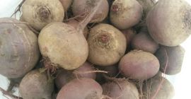 I will sell beets for export, harvest 2019. We