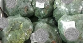 BROCCOLI GEFILMT / BROCCOLI IN EIS - 10 *