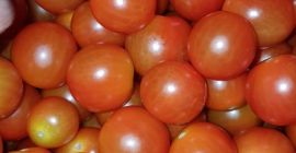 ВИШНЯ ТОМАТО / BABY PLUM TOMATO - калибр от