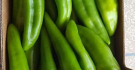 ITALIAN GREEN PEPPER – caliber 40-60 50-70 70-90 –