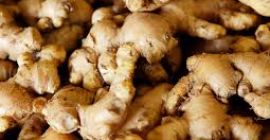 Nigerianischer Ingwer hat ein enormes Exportpotential und wird daher