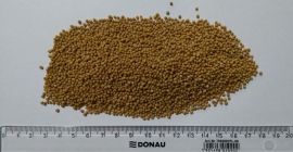 I will sell white mustard grains sinapis alba Grain