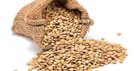 I buy lentils and beans, BULGARIAN production. Payment immediately,
