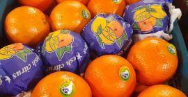 Ще продавам портокали, страна на произход Иран. Опаковка пластмасова