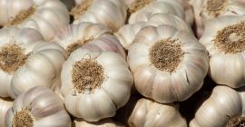 Schnelle Details Typ: Knoblauch Produkttyp: Liliaceous Vegetabless Stil: Frisch