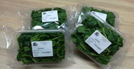 Hello, I have for sale fresh spinach packed in