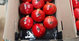 Wir können verhandeln +998904061707 Ich bin auf WhatsApp und