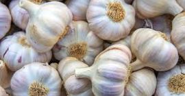 Свежий нормальный белый сорт чеснока: (Обычный белый чеснок также