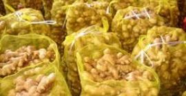 Product Name: FRESH GINGER Weight/Size: 100g-150g-200g-250g-300g up Supply Time: