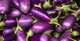 Melanzane biologiche per esportazione, forniamo le nostre melanzane in