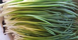 Voi vinde arpagic în folie.