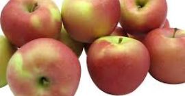 Fuji-Äpfel sind mittel bis groß. Die dicke Schale des