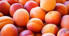 Fresh Apricots Whether you eat it dried, or fresh,