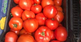 Доматите ДИРЕКТНО ОТ ПРОИЗВОДИТЕЛ В АЛБАНИЯ! Сензационен вкус и