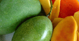 Fresh Mango Mango este rege al fructelor și suntem