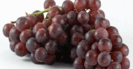 Uva fresca La gamma più completa di uva fresca