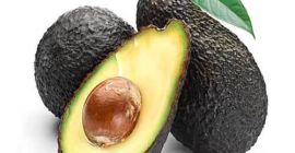 Avocado Hass (reif) 100% frisch Aus Peru und Mexiko
