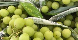 Dear Sir/Madam Procom is a major supplier of agricultural