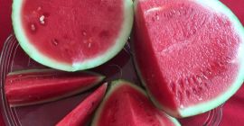 L&#39;anguria (Citrullus lanatus) è un grande frutto dolce originario