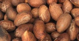 La cola amara è un frutto molto utile con