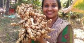 Fresh ginger is available.