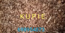I will buy buckwheat, any quantity and quality payment