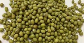 Тип продукта: фасоль Vigna Тип: фасоль Mung Стиль: сушеный