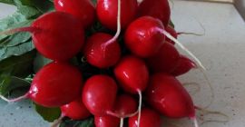 I will sell radish, chives and parsley. Later there