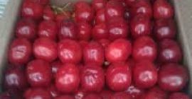 Vindem cireș roșu, precum și preț negru de cireș