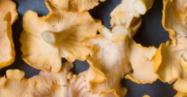 Momentan avem 30 de tone de ciuperci de chanterelle