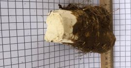 ОФЕРТА НА ОРГАНИЧНИ УКРАЙНИ ХОРИЗОНТАЛНИ ХОРИЗОНТАЛНИ ПРОДУКТИ в размер