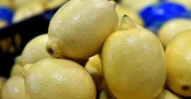 Törökországból értékesítettünk gyümölcsöt és zöldséget. Vegye fel velünk a