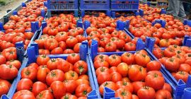 Siamo stati la vendita di frutta e verdura dalla