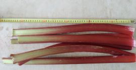 I will sell raspberry rhubarb, I&#39;m interested in retail