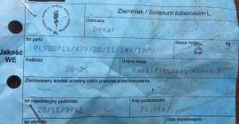 Randament de 1,5 h cartofi tineri (DENAR) (în jurul