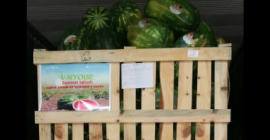 La nostra sede è ad Agadir e proviene dal
