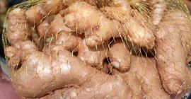 Fresh quality ginger at $4.36/ton. For enquiries email me