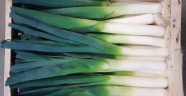 I will sell it. Wholesale quantities, fresh leek, leek
