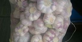 Ich verkaufe frischen Knoblauch, 6-7 Kalorien, verpackt in 20-kg-Säcken,