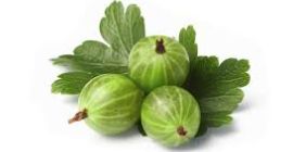 Trebuie să vând în sezonul 2018. galben hinomaki rot,