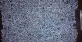 Ще продам органични плодове от камчатските плодове - сорт