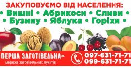 Ние сме първата компания за покупки. Ние предлагаме череши,